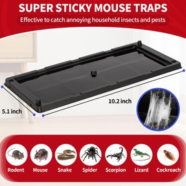 LULUCATCH Glue Mouse Traps Indoor for Home 24 Pack, Pre-Baited Sticky Plastic Glue Boards for House, Snake, Lizard, Insect, Mice, Rats & Spider Traps, Pet Safe Pest Control