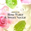 Olay Gel de Ba?o Fresh Radiance con Esencia de Agua