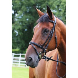 Gallop Padded Bridle and Rubber Reins set (Brown, Full)