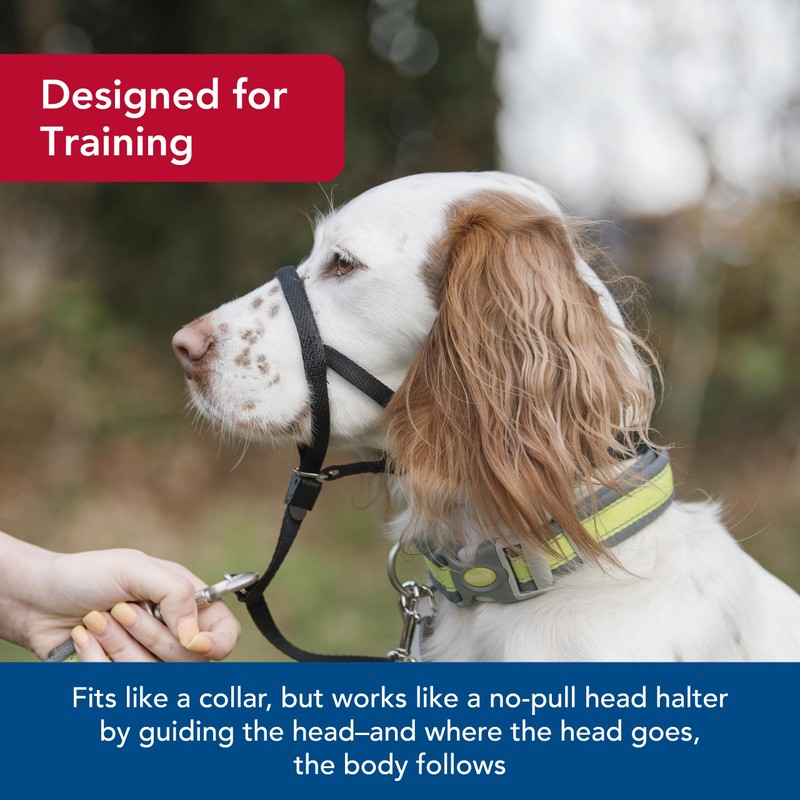 Coastal Walk'n Train Cabeza Halter, Negro, Mediano