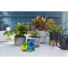 Miracle-Gro Miracle-Gro Water Soluble All Purpose Plant Food, Plant Fertilizer, 8 oz. (12-Pack)