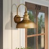 zeyu Modern Barn Lighting, 11 inches Gooseneck Light Fixture Indoor