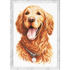 Magic needle 59-24 ZW Golden Retriever Counted Cross Stitch Kit with Zweigart Edition, Cotton, Multi-Colour, 20 x 28 cm