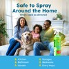 BugMD Ant Spray – Insect & Pest Spray Indoor Safe