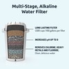 Invigorated Water 3-Pack Alkaline Water Fluoride Filter with Extra 3-Pack