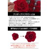 Florist Mann Preserved Flowers, 60th Birthday Celebration, Women, Red, Mother,
