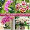 Riare 1QT Orchid Potting Mix for Repotting- Orchid Repotting Kit