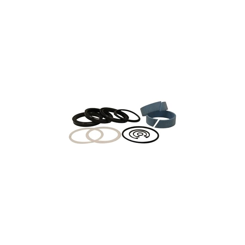 Aztec Hydraulics Replacement - Compatible with Seal Kit for Hyster