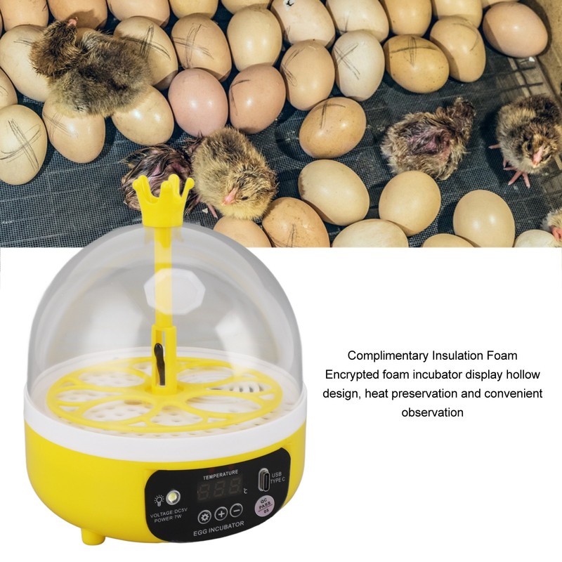 Mini Egg Incubator for Home Automatic Temperature Humidity Control 4