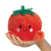 AURORA, 33792 Palm Pals Byod Tomato Soft Toy, Red, 5In