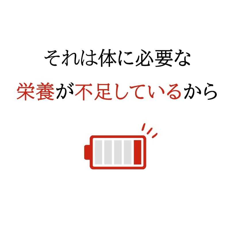 サツマ薬局 安寿薩摩丸EX タネニンジン クコの実 (480錠×1本)