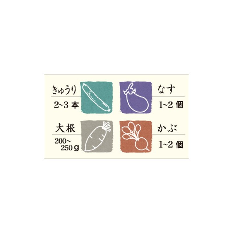 Squirrel S-10 Instant Pickle Container, Square, Green, 28.3 fl oz