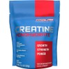 ProLab Nutrition Creatine Monohydrate Micropowder 5g Pure Strength Power Endurance Management Fast Absorbing Unscented 300, 13 oz (Pack of 1), 300g / 프로랩 뉴트리션 크레아틴 모노하이드레이트 미세분말 5g 의 순수 근력 힘 지구력 관리 빠른 흡수 무향 300, 13 온스 (1개 묶음), 300g