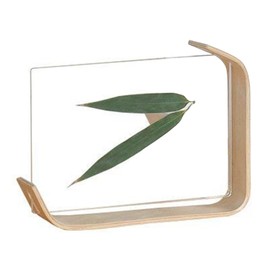 Desktop Plant Specimen Frame Wooden Acrylic Simple Modern Photo Frame Desktop Ornament Home Decoration