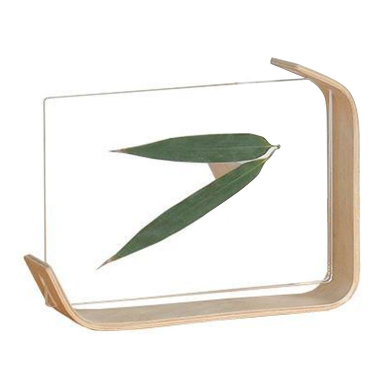 Desktop Plant Specimen Frame Wooden Acrylic Simple Modern Photo Frame