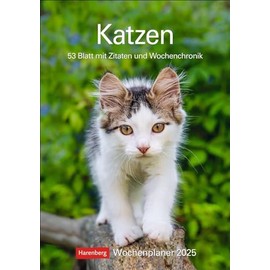 Katzen Wochenplaner 2025 - 53 Blatt mit Zitaten und Wochenchronik: Wandkalender mit Platz für Notizen und vielen süßen Katzenfotos. Tierkalender 2025 ... 25 x 35,5 cm (Wochenplaner Harenberg)