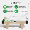 Durable Cat Toy Set: Mini Pool Table, Feather Teasers &