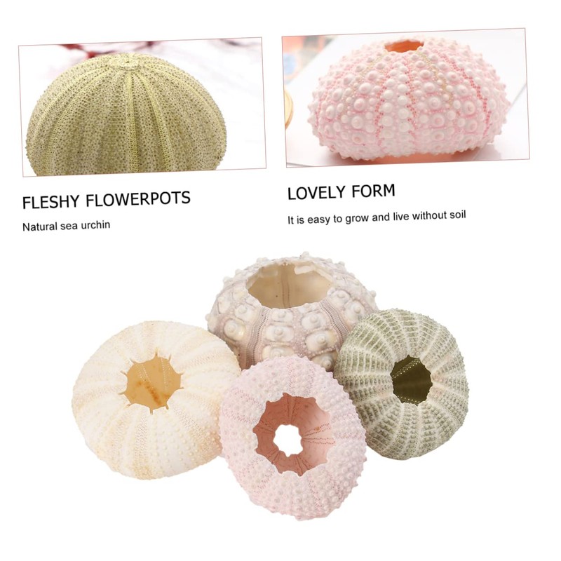 HOMSFOU 4pcs Tillandsia Planter Small Plant Pots Plant Stand Outdoor