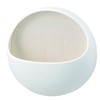 SANEI Baspo Soap Dish, White