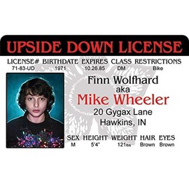 Signs 4 Fun Nstidm Stranger Mike's Driver's License