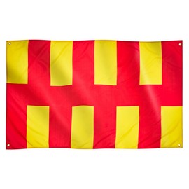 Runesol Northumberland Flag, 91x152cm, 3ft x 5ft, Northumberland Day Flag, Northumbrian Flag, 4 Grommets, Eyelet in Every Corner, Premium Flags, Inside, Outside, Vivid Colours