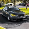VViViD Air-Tint Golden Yellow Headlight/Tail Light Window Tint (12 Inch