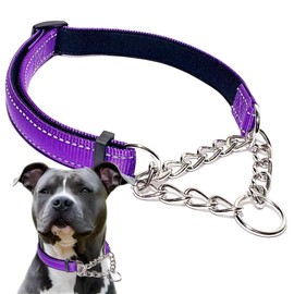 Martingale Dog Collar for Medium Dogs, Reflective Nylon Dog Collar Adjustable Stainless Steel Chain Collar Male No Pull Pet Training Collar for Medium Large Dogs Dark Purple, M