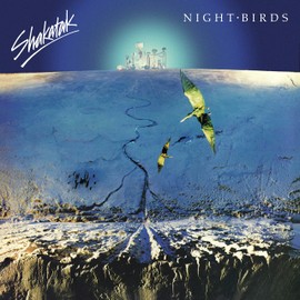 Night Birds [VINYL]