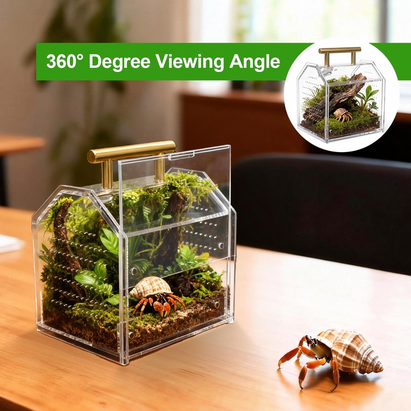 Jumping Spider Enclosure, Insect Terrarium, Praying Mantis Habitat, Reptile Enclosure,Spider