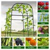 7ft Cucumber Trellis for Raised Bed, Garden Arch Trellis for