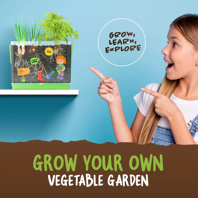 Dan&Darci Root Viewer Kit for Kids - Grow Your Own
