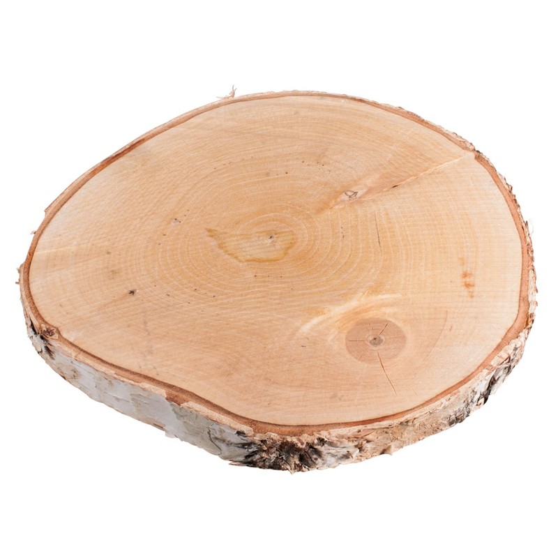 Rayher Hobby Birch Disc, Wood, Brown, 25 - 28 cm
