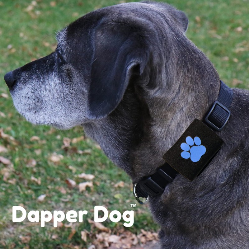 Dapper Dog Pet Tag Silencer and AirTag Holder (Black with