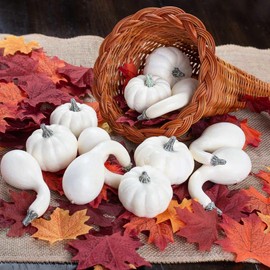 Factory Direct Craft Thanksgiving Cornucopia of Harvest White Pumpkins and Red Leaves - Horn of Plenty for Fall Decorating and Displays