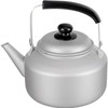 Wahei Freiz RB-2327 Lightweight Instant Boiling Aluminum Kettle, 1.6 gal