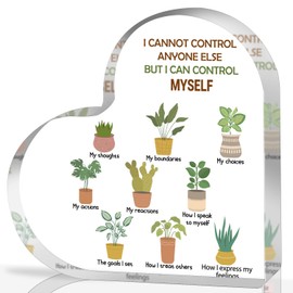 Mental Health Decor, Mindfulness Decor for Therapy Office Things I Can Control Acrylic Heart Gifts, School Counselor Sign Therapist Office Art Decorations for Therapist Office Living Room Bedroom