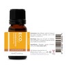 ECO. Modern Essentials Frankincense Pure Essential Oil, 10ml