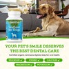 Animal Essentials SeaDent for Dogs - Kelp and Enzymes Plaque,