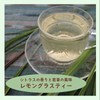 Lemon Grusty 1.4 oz (40 g) [Postal Compatible Size] [Lemongrass