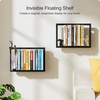 BUTUNITA Floating Book Frame Wall Mount - Invisible Metal Bookshelves