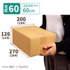 Earth Cardboard Shipping Box, 60 Size, B5 Cardboard, 120 Sheets,