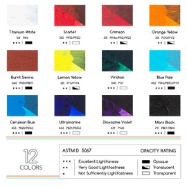 MEEDEN Heavy Body Acrylic Paint - Basic 12 x 60ml (2 oz) Color Paint Set for Adults - Rich Pigment Art Craft Paints for Fabric Rock Canvases