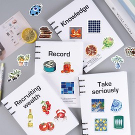 300PCS Aesthetic Stickers Pack, Cute Waterproof Vinyl Stickers for Laptop, Water Bottle, Journal, Scrapbooking