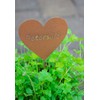 B2S BACK2SEASON Set of 9 Heart Herb Stakes, Metal Plant