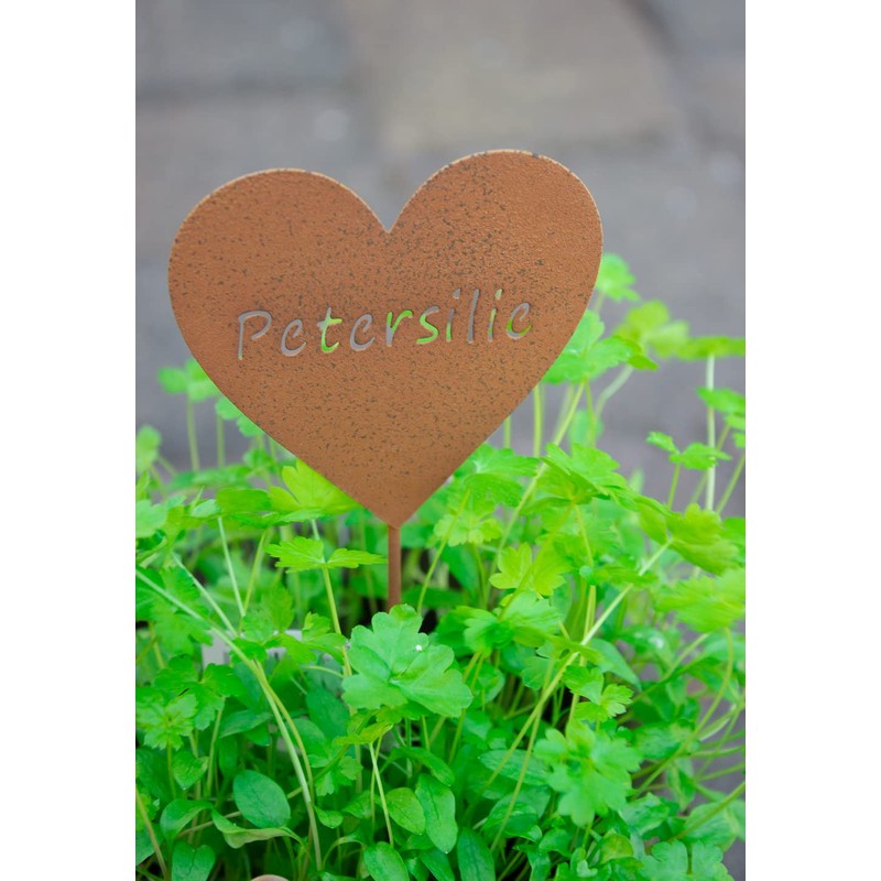 B2S BACK2SEASON Set of 9 Heart Herb Stakes, Metal Plant