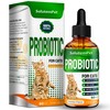 Probiotics for Cats for Digestive Support – Cat Probiotics for