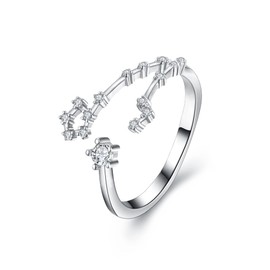 Clearine 12 Constellation Zodiac Sign Cubic Zirconia Adjustable Ring for Women Girls, Brass Cubic Zirconia, Cubic Zirconia