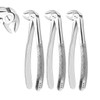 PRECISE CANADA: Set of 3 Dental EXTRACTING Forceps #MD3 Dental