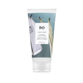 R+Co Cool Wind pH Perfect Air Dry Hair Cream (5 Oz) | Hydrates + Tames + Softens | Vegan + Cruelty-Free |
