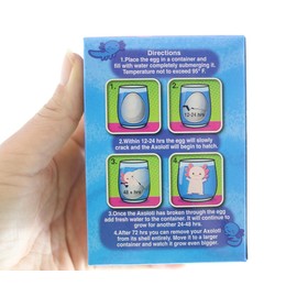 1 RANDOM COLOR Hatch and Grow an Axolotl Egg - Add Water and it Grows up to 4" - Sea Critter Toy Fun Science Expanding Novelty Magic Absorbent Polymer Toy (1 RANDOM Color)